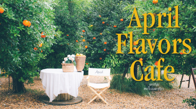 April Flavors cafe คาเฟ่สวนส้ม สไตล์เกาหลีมินิมอล สุดคิ้วท์