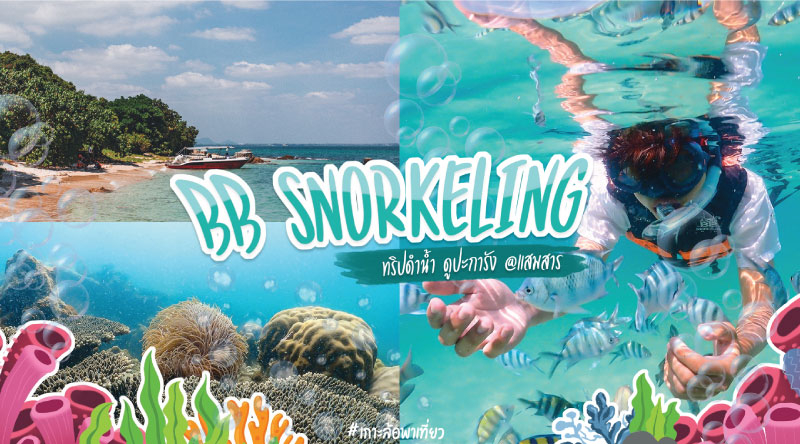 BB SNORKELING ทริปดำน้ำ ดูปะการัง @แสมสาร