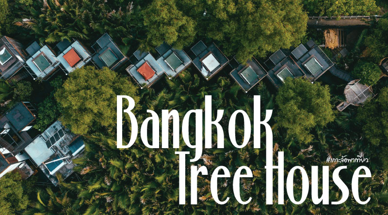 Bangkok tree Houseคุ้งบางกระเจ้า